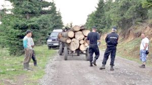 Jandarmii, pe urmele unor infractori