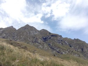 Creastă montană – Ziarul Argeşul - ediţia online