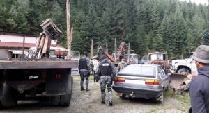 Hoţii de lemne, judecaţi în libertate