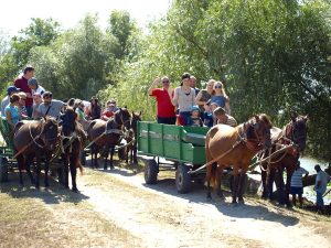 Turism de poveste în inima Deltei