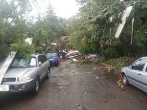 Cât să mai rabde şi natura?