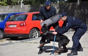 Jandarmii argeşeni, implicaţi în circa o mie de misiuni