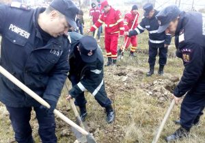 Pompieri la plantat puieţi de copaci – Ziarul Argeşul - ediţia online