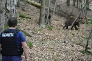 Arme cu tranchilizante pentru jandarmi