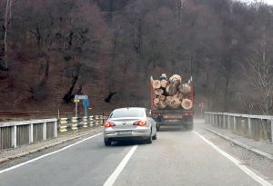 Şoferii nu suportă să meargă în spatele unui camion cu buşteni – Ziarul Argeşul - ediţia online