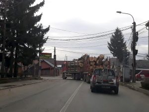 La Curtea de Argeş, buştenii virează la stânga... spre Domneşti... – Ziarul Argeşul - ediţia online