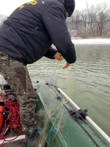 Plasele monofilament, distruse – Ziarul Argeşul - ediţia online