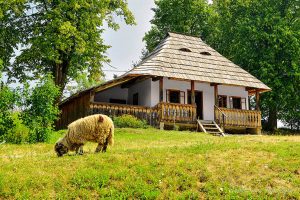 Cine dă tonul acestui cântec?!