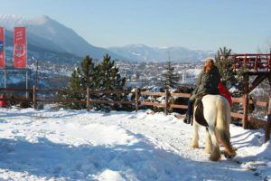 Complexele private fac diferenţa – Ziarul Argeşul - ediţia online