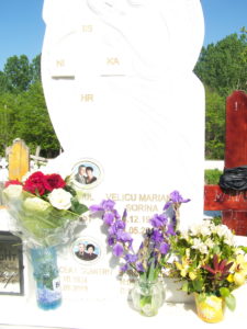 Preţuire pentru "Doamna Viorii"