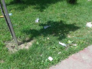 3 – Ziarul Argeşul - ediţia online