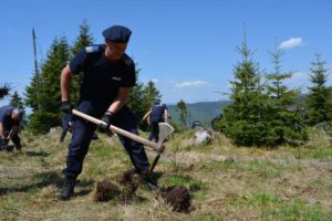 Jandarmii argeşeni, alături onservation Carpathia"