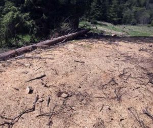 Drumuri ca în Afganistan