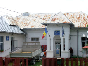 Săpata, raiul albinelor care produc miere de salcâm