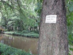 Reclamă bătută în cuie – Ziarul Argeşul - ediţia online