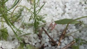 Avertizare de ploi şi grindină în cea mai mare parte a ţării